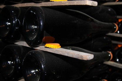 2021-11-10 - Joly Champagne et Côte des Blancs (13)